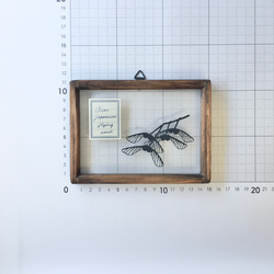 【植物標本シリーズ】カエデの翼果の切り絵フレーム 3枚目の画像