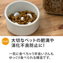 【 送料無料 】名入れ 手描き ゴールド Bamboo 早食い防止 カラー フードボウル 全8色 pet131 3枚目の画像