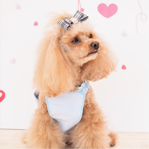 ネコちゃんと豆柴 ベビーヘアクリップ ヘアピン ヘアゴム 猫 犬 豆柴 動物 Amazon | Hitasi ペットヘアピン 犬 猫用髪飾り ペット用ヘア