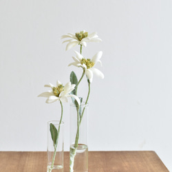 【２本セット】咲き続けるエーデルワイス　マジカルウォーター　癒しのフラワーインテリア　アーティフィシャルフラワー 4枚目の画像