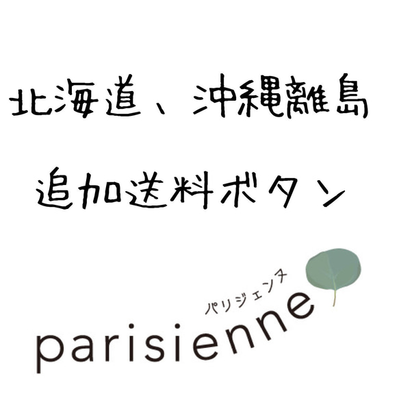 北海道、沖縄送料追加ボタン 1枚目の画像