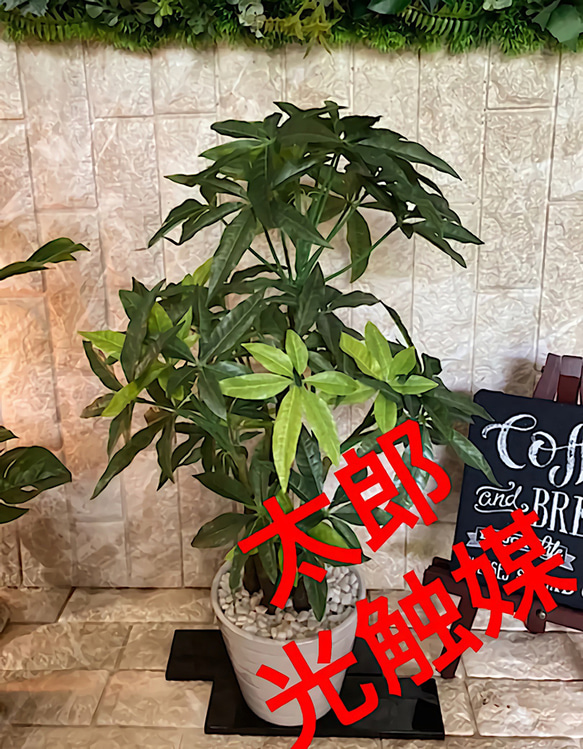 光触媒　人工観葉植物　ウォールグリーン　フェイクグリーン　パキラ120FST 光触媒 人工観葉植物 ウォールグリーン フェイクグリーン パキラ120FST