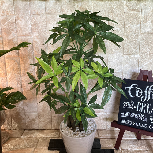 光触媒　人工観葉植物　ウォールグリーン　フェイク　フラワー　パキラ138138 光触媒 人工観葉植物 ウォールグリーン フェイク フラワー パキラ176