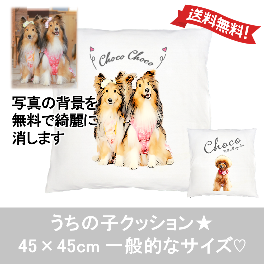 うちの子 クッション カバー オーダー 45cm | ペット 写真から 作ります