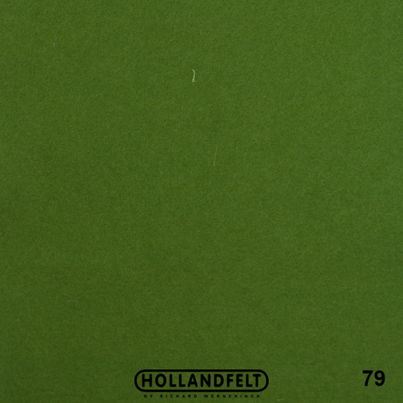 79　フロッググリーン 100％ ウール フェルト 20X30cm 厚さ1㎜ 2枚目の画像