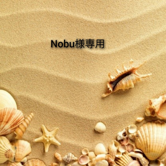 Nobu様専用　フレンチスリーブのセーラーカラーのプルオーバー 1枚目の画像