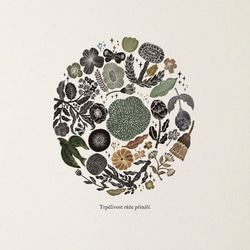 《フィンランドの香り(3色展開※色を選択してください)》スッと壁に溶け込むウォールステッカー　※水濡れOK・テカリ無し 4枚目の画像