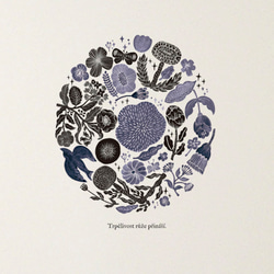 《フィンランドの香り(3色展開※色を選択してください)》スッと壁に溶け込むウォールステッカー　※水濡れOK・テカリ無し 1枚目の画像