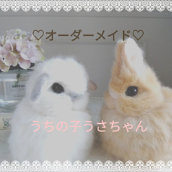 羊毛フェルトリアルうさぎ お座りホーランドロップ (ブロークン