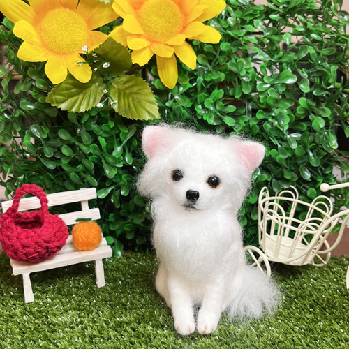 羊毛フェルト チワワ 犬 （送料込み⭐︎真っ白なチワワ♪羊毛