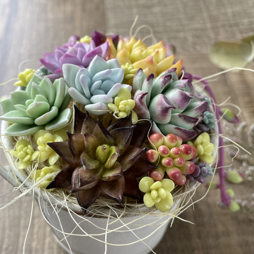 多肉♡ルビーネックレス♪寄植え グリーンインテリア フェイク 樹脂