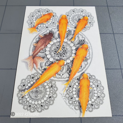 【絵画】ネイチャーアート　「金魚」原画 絵画】ネイチャーアート 「金魚」原画