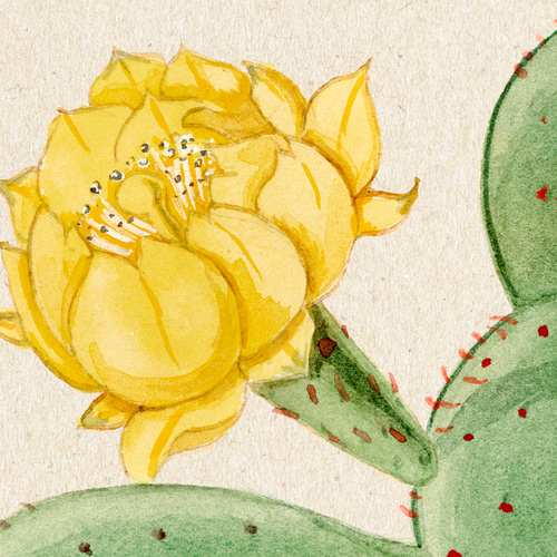 サボテン / アートポスター 植物 ヴィンテージイラスト グリーン 縦長