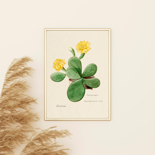 サボテン / アートポスター 植物 ヴィンテージイラスト グリーン 縦長