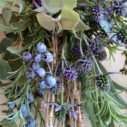 ユーカリ&ブルーベリーのナチュラルスワッグ／アーティ