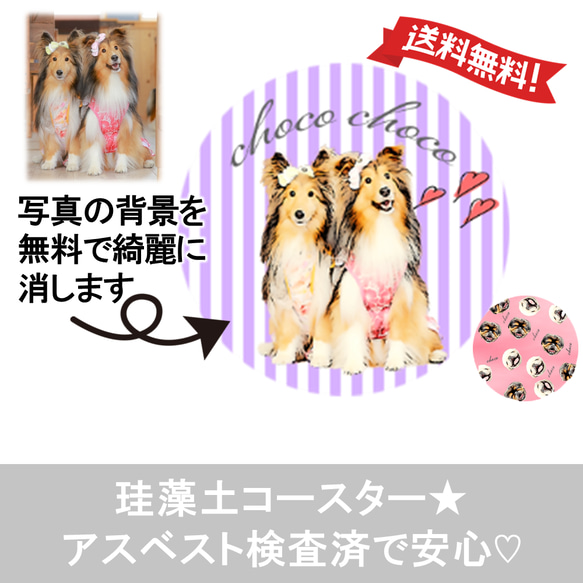 うちの子 珪藻土 コースター 名入れ 犬 猫 | 写真から作ります その他  