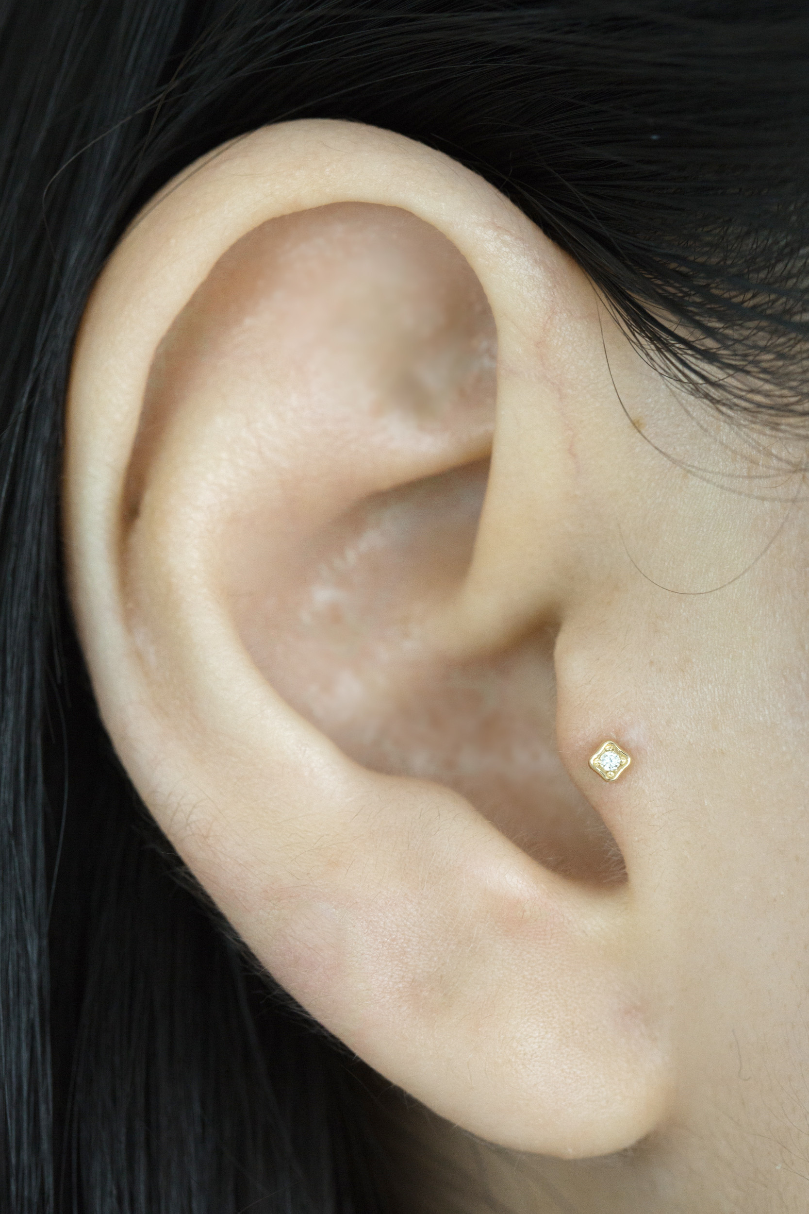 14K金 ゴールド Cz ヘリックス 軟骨 アンチトラガス アウター インナーコンク イヤリング ピアス ラブレット