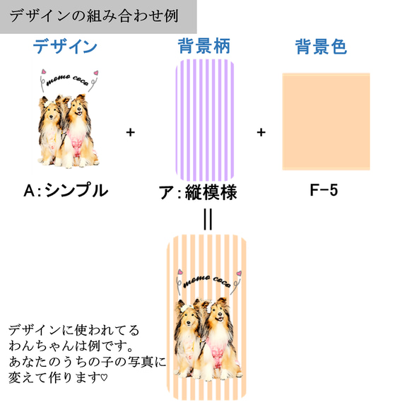  第7張的照片