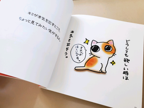 【再販】ゆる猫　絵本　《まいにち ゆる猫vol.1》 5枚目の画像