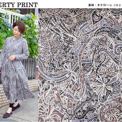 リバティ【タナローン】22AW　別注　ダナシャーミン　モダンクール（30cm単位）生地　布　綿　コットン　LIBERTY 4枚目の画像