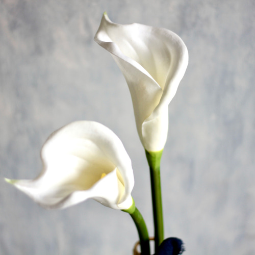 カラーリリー】｜アーティフィシャルフラワー 花瓶アレンジ| 夏