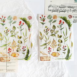 [無色綻放] 植物貼紙 裝飾貼紙 復古拼貼 手帳貼紙 第2張的照片