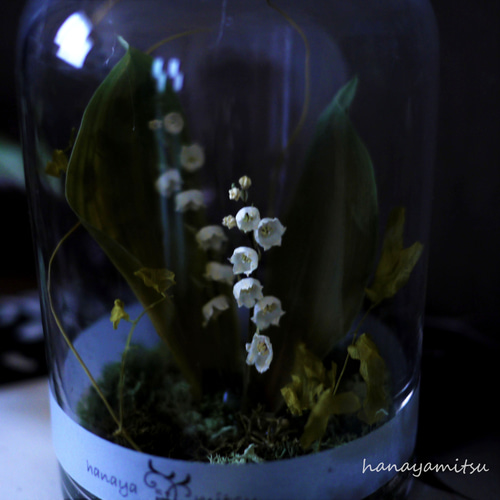 再販】Lis de la vallée.。.:♡* すずらん ドライフラワー