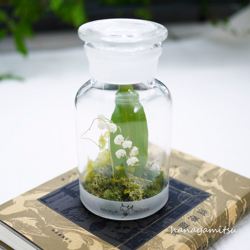 すずらんのドライフラワーM｜瓶詰めの森 ドライフラワー 花や蜜 通販