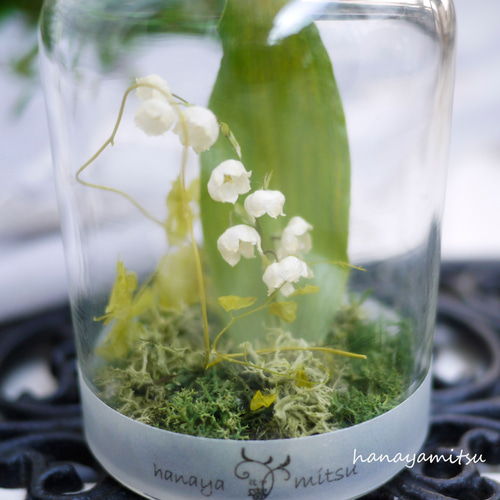 すずらんのドライフラワーM｜瓶詰めの森 ドライフラワー 花や蜜 通販