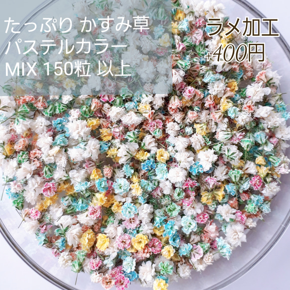 パール‎‎様◆【訳あり】かすみ草♡（ 732 ドライフラワー パーツ レジン) パール‎‎様◇【訳あり】かすみ草♡（ 732 ドライフラワー パーツ