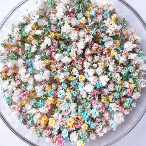 パール‎‎様◆【訳あり】かすみ草♡（ 723 ドライフラワー パーツ レジン) パール‎‎様◇【訳あり】かすみ草♡（ 723 ドライフラワー パーツ