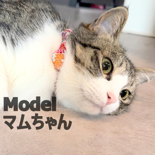 高雅な宝石菊文様！和柄の猫ちゃん首輪 リード・首輪 Atelier LEON