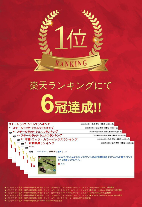 2WAYアイアンシェルフ キャンプギア ハシゴ4段 アイアン&ウッド 棚 アイアンラック 日本製　I-14 