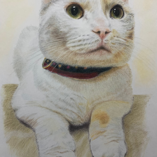 ペット似顔絵 ねこ いぬ 似顔絵オーダー 肖像画 オーダーメイド ペット似顔絵 ねこ いぬ 似顔絵オーダー 肖像画 オーダーメイド