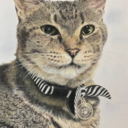 ペット似顔絵　ねこ　いぬ　似顔絵オーダー　肖像画　オーダーメイド　ポートレート 9枚目の画像