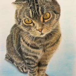 ペット似顔絵　ねこ　いぬ　似顔絵オーダー　肖像画　オーダーメイド　ポートレート 3枚目の画像