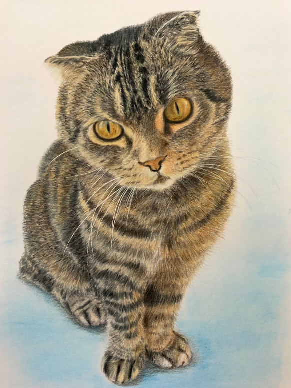 ペット似顔絵　ねこ　いぬ　似顔絵オーダー　肖像画　オーダーメイド　ポートレート 3枚目の画像