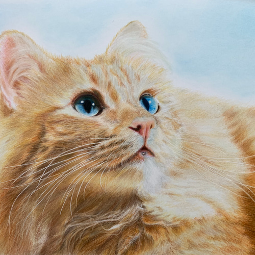 色鉛筆画 似顔絵a4サイズ10000円〜 イラスト LIL'SAKI 通販 色鉛筆画 似顔絵a4サイズ10000円〜 イラスト LIL'SAKI 通販