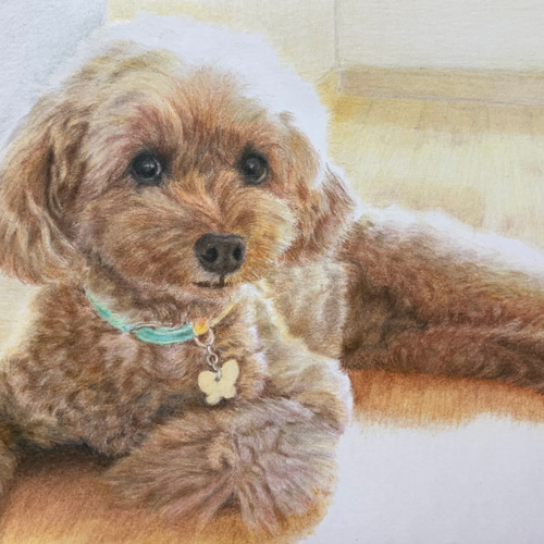 ペットの似顔絵 ネコ似顔絵 オーダーメイド リアル イラスト