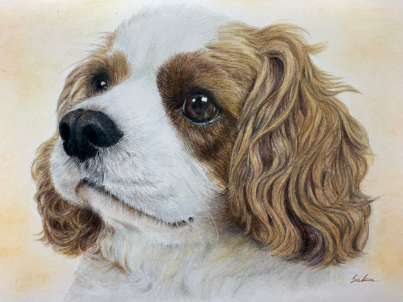 ペットの似顔絵　ネコ似顔絵　オーダーメイド　リアル　イラストオーダー　うちの子　ペット　ねこ また