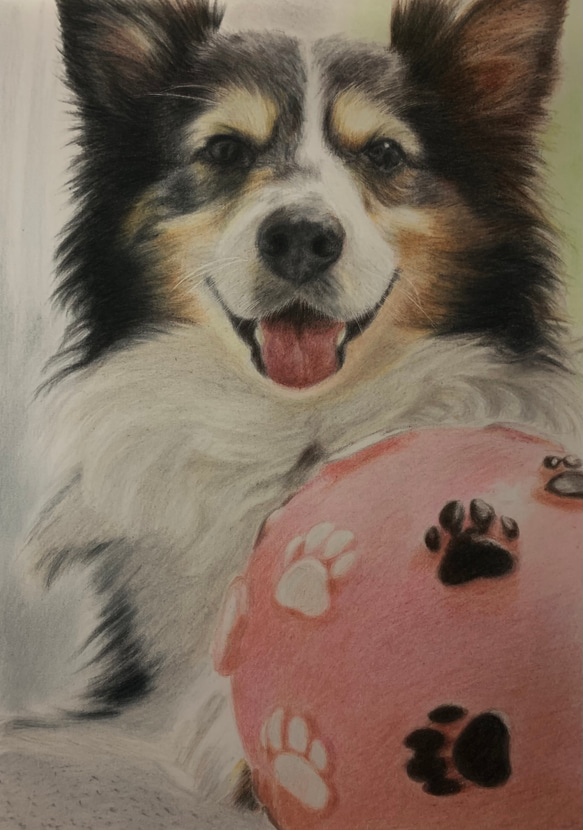 ペットの似顔絵　ネコ似顔絵　オーダーメイド　リアル　イラストオーダー　うちの子　ペット　ねこ また