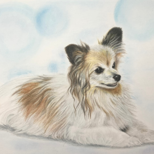 ペット似顔絵 お花畑🌸 イラストオーダー 犬 猫 うさぎ