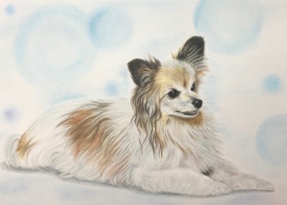 ペットの似顔絵　ネコ似顔絵　オーダーメイド　リアル　イラストオーダー　うちの子　ペット　ねこ また