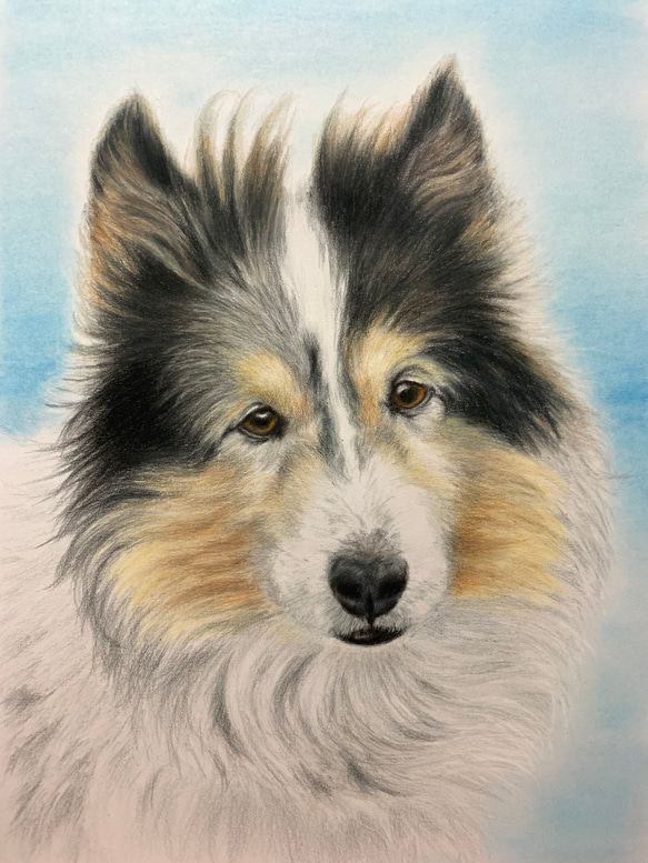 ペットの似顔絵　ネコ似顔絵　オーダーメイド　リアル　イラストオーダー　うちの子　ペット　ねこ また 宜しくお願い致します