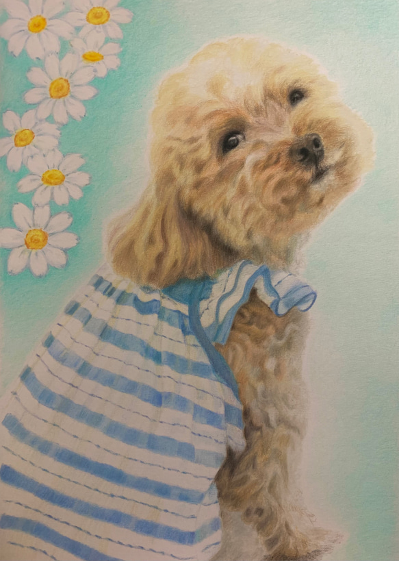 ペットの似顔絵　ネコ似顔絵　オーダーメイド　リアル　イラストオーダー　うちの子　ペット　ねこ また 宜しくお願い致します