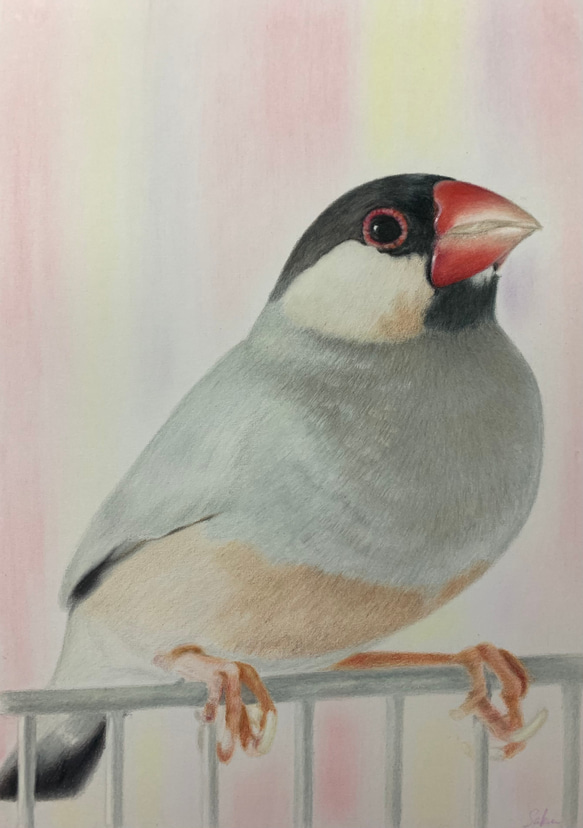 ペットの似顔絵　ネコ似顔絵　オーダーメイド　リアル　イラストオーダー　うちの子　ペット　ねこ また 宜しくお願い致します