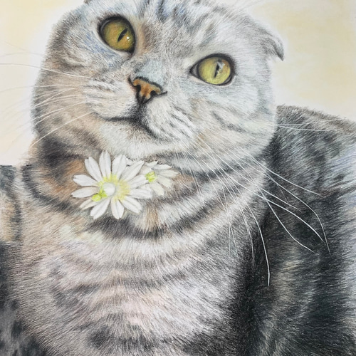 ペットの似顔絵 ネコ似顔絵 オーダーメイド リアル イラスト ペットの似顔絵 ネコ似顔絵 オーダーメイド リアル イラスト