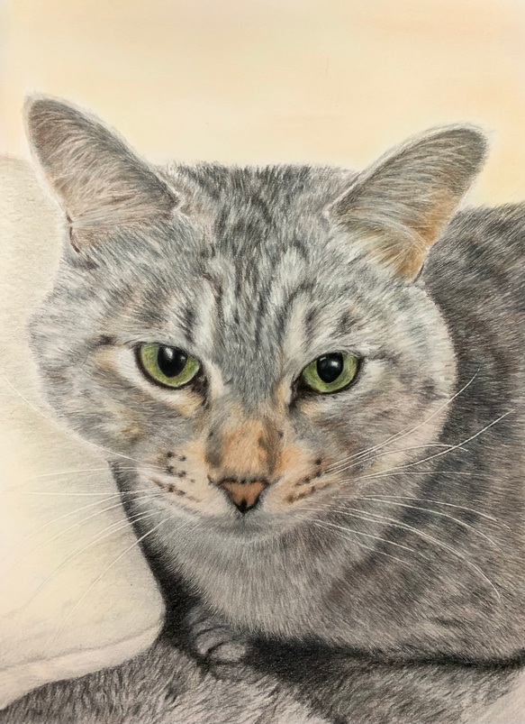 ペットの似顔絵 ネコ似顔絵 オーダーメイド リアル イラスト ペットの似顔絵 ネコ似顔絵 オーダーメイド リアル イラスト