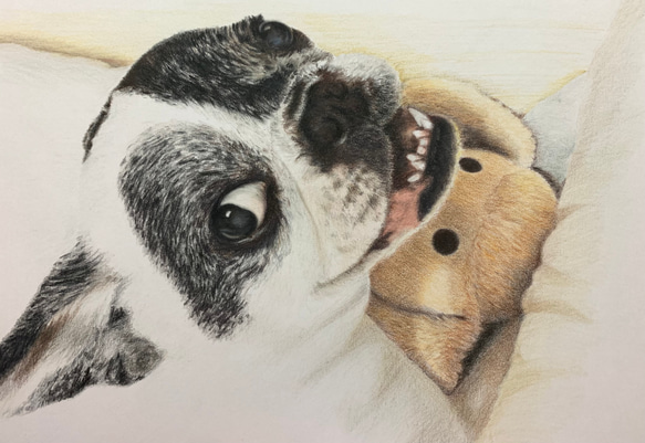 ペットの似顔絵　ネコ似顔絵　オーダーメイド　リアル　イラストオーダー　うちの子　ペット　ねこ また 宜しくお願い致します