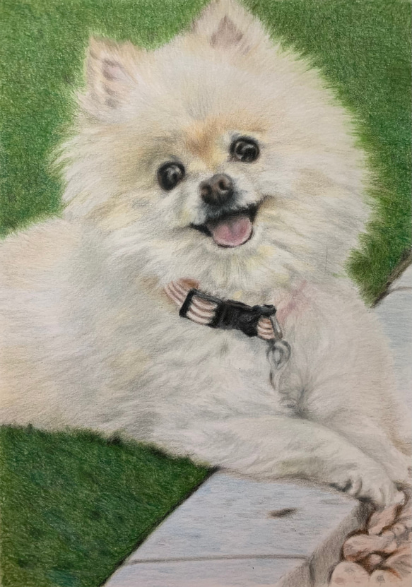 ペットの似顔絵　ネコ似顔絵　オーダーメイド　リアル　イラストオーダー　うちの子　ペット　ねこ また 宜しくお願い致します